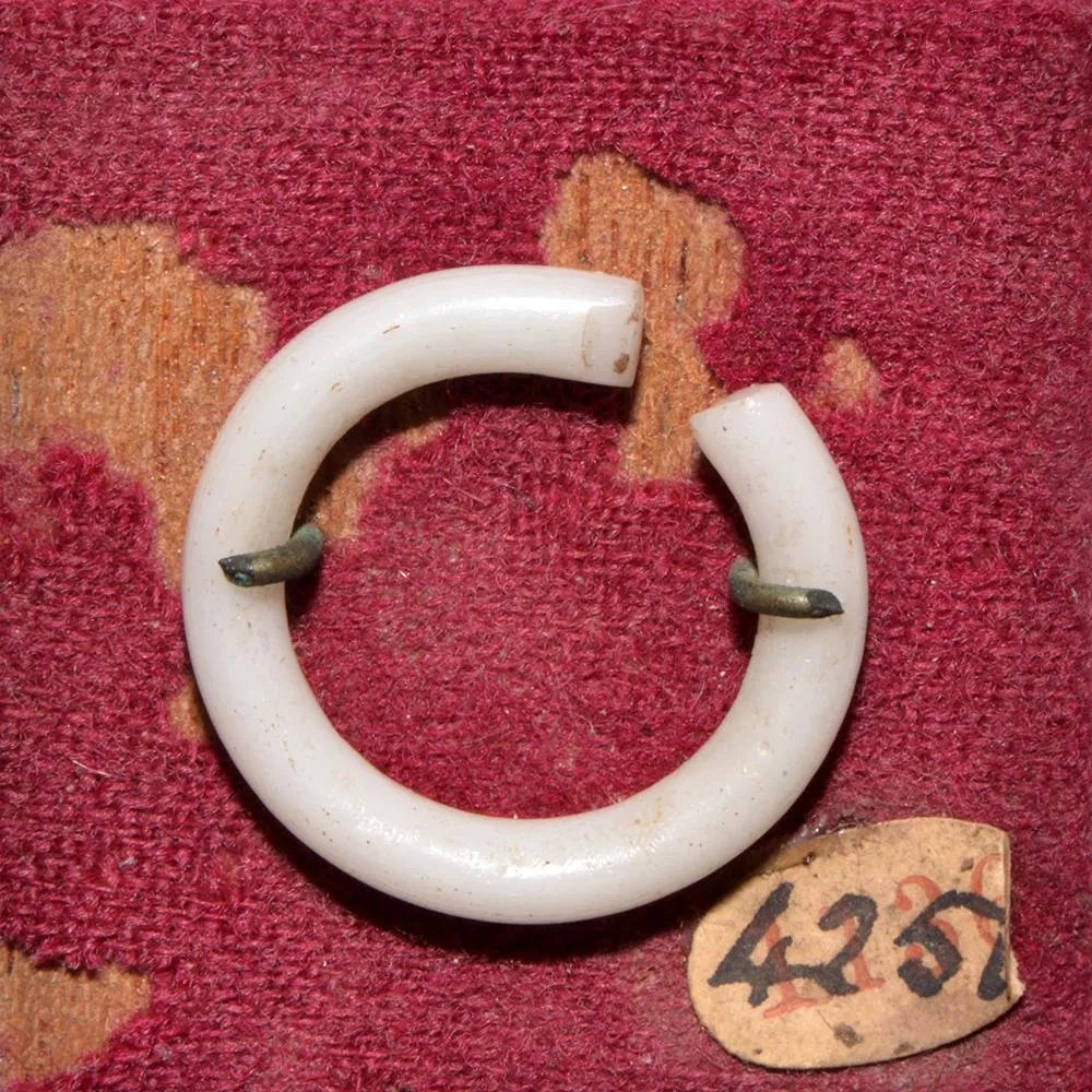 An Egyptian Glass Earring, New Kingdom, Late 18th - 19th Dynasty, ca. 1550 - 1290 BCE